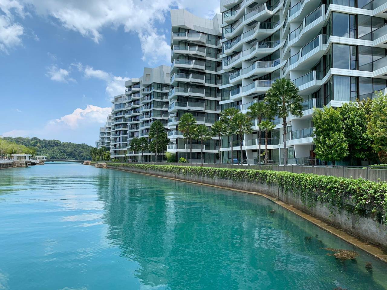 Corals at Keppel Bay 吉宝湾丽珊景 image