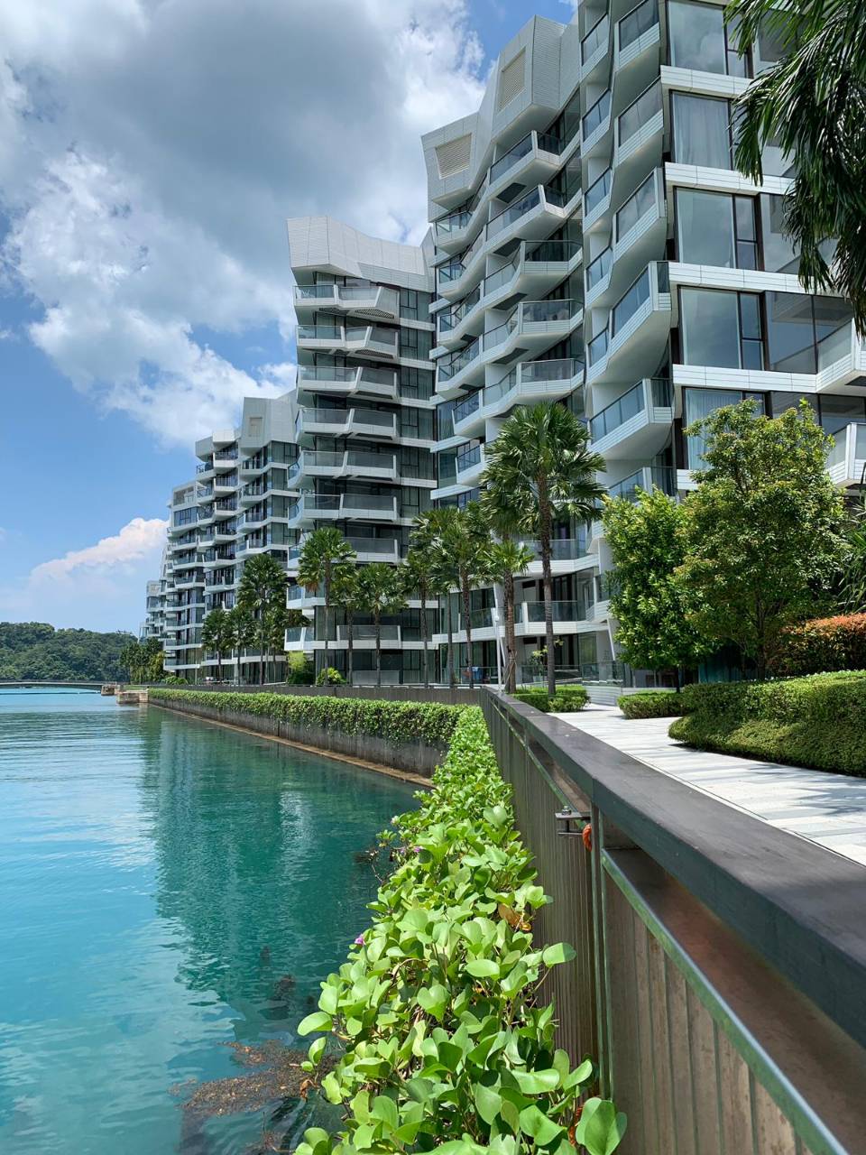 Corals at Keppel Bay 吉宝湾丽珊景 image